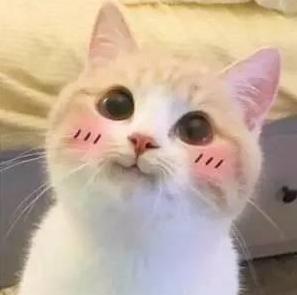 DƬ